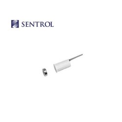 Détecteur ouverture encastré 2 fils 30cm