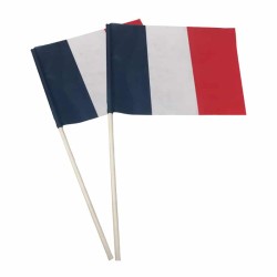 Drapeau de supporter France