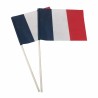 Drapeau de supporter France