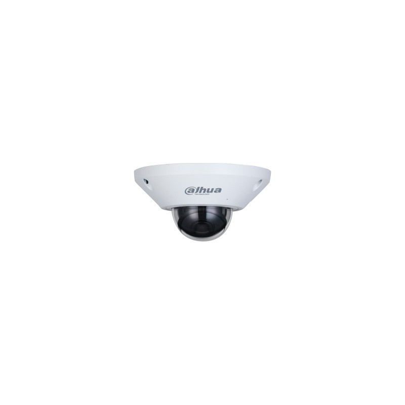 Caméra Fisheye IP 5MP 180° AI WizMind IP67 PoE / 12V
