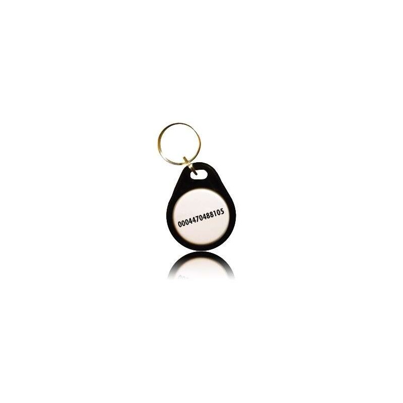 BADGE PASSIF DE PROXIMITÉ EM FORMAT NISO JETON PORTE CLÉ POUR LECTEUR 125KHZ